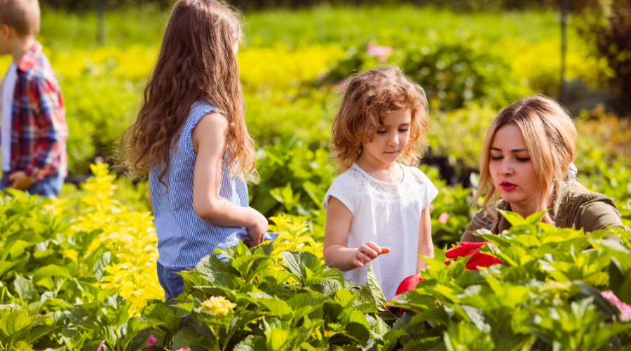 Gartenbasierter Unterricht: Effektive Integration in den Lehrplan