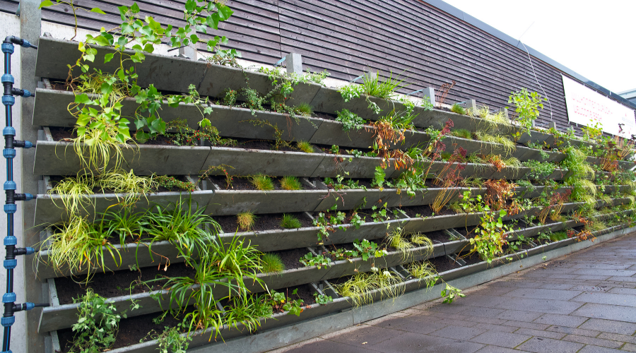 Vertikales Gärtnern: Effiziente Nutzung von Stadtraum