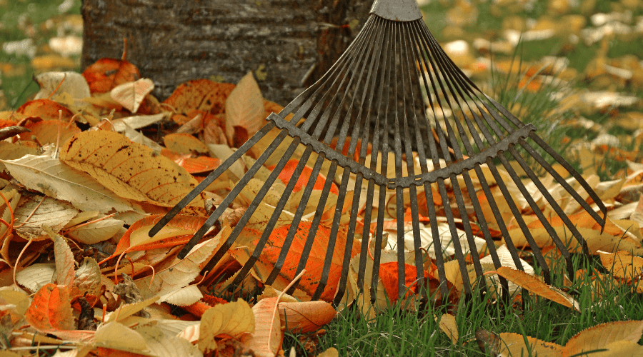 Die wichtigste Gartenarbeit im September: Tipps für eine erfolgreiche Herbstsaison - SHW-FIRE
