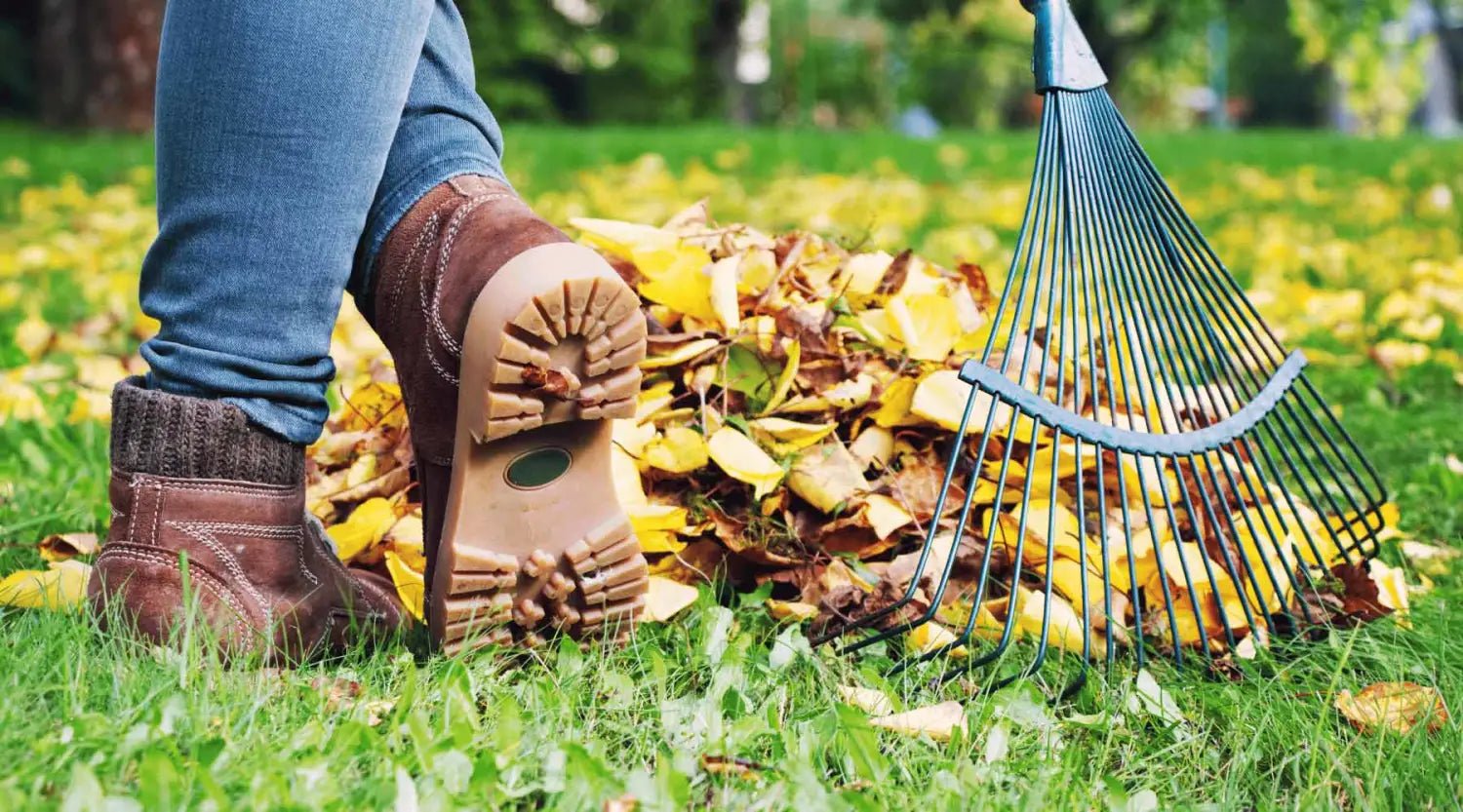 Die wichtigsten Gartengeräte im Herbst: Rechen & Laubbesen für eine effektive Gartenpflege - SHW-FIRE