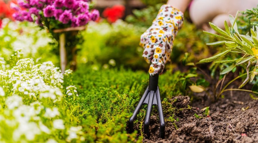 Effizient in den Garten-Frühling starten: So sparst du Zeit - SHW-FIRE
