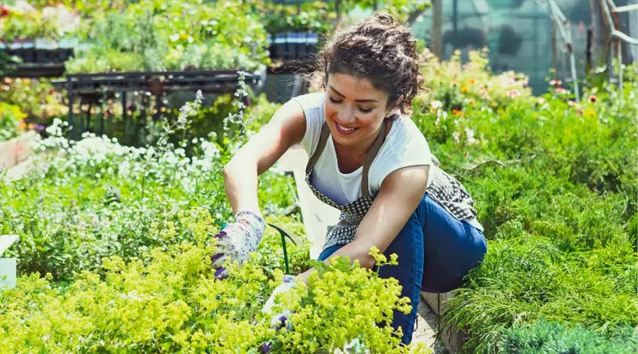 Effiziente Gartenarbeit mit Kurzstielgeräten - SHW-FIRE