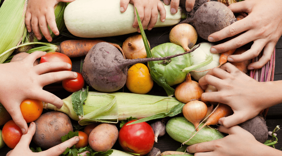 Erntezeit im Herbst: Obst und Gemüse richtig lagern für optimale Frische - SHW-FIRE