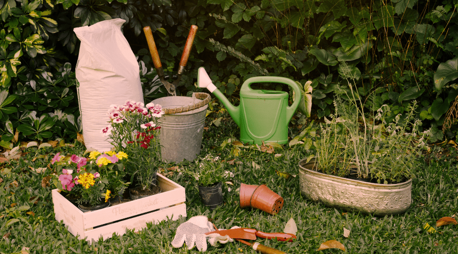 Garten-Inventur: Was du vor dem neuen Jahr noch erledigen solltest - SHW-FIRE
