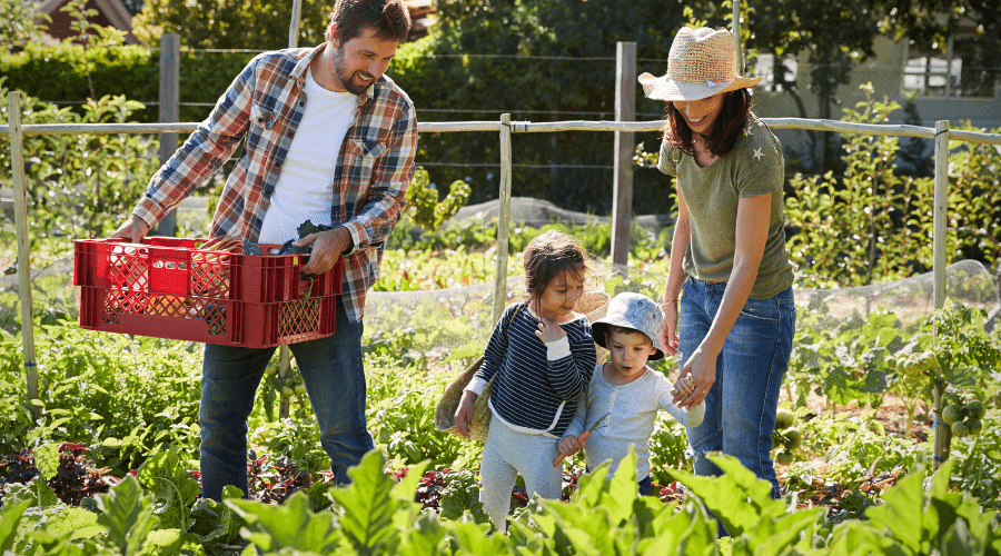 Gartenarbeit im Frühling: Tipps für einen blühenden Start in die Saison - SHW-FIRE