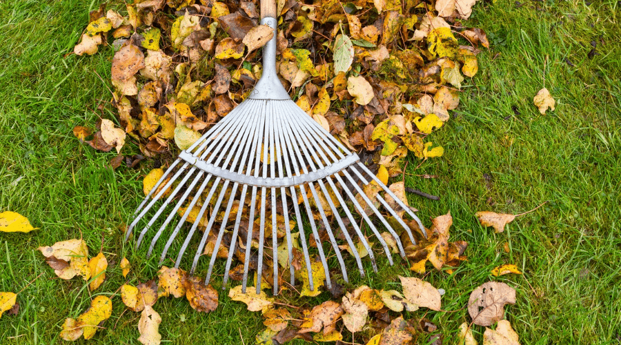 Gartenarbeit im Herbst: Die besten Tipps für eine erfolgreiche Gartenpflege - SHW-FIRE