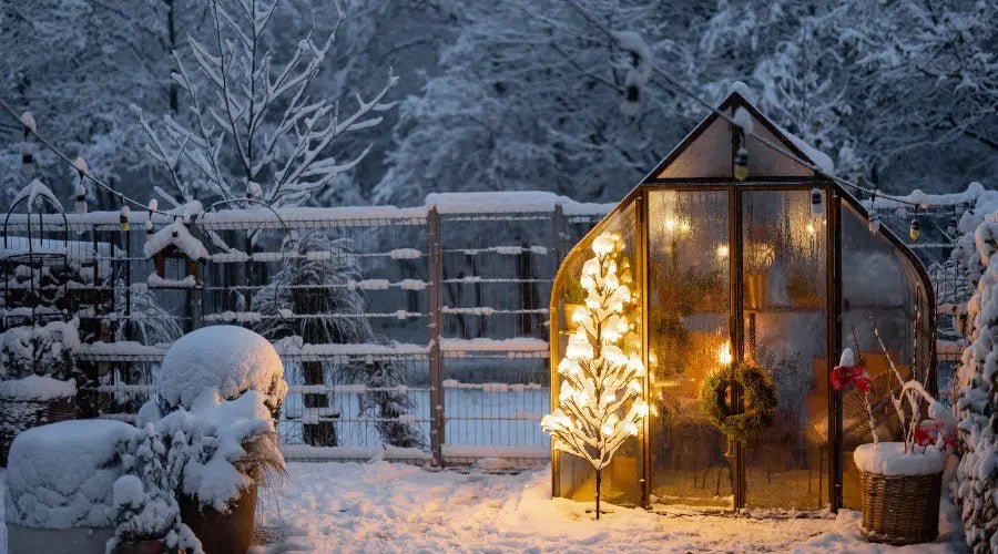 Gartenprojekte für den Winter: Ideen zur Gestaltung der kalten Monate - SHW-FIRE
