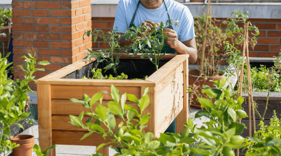 Hochbeet bauen und bepflanzen - Schritt-für-Schritt-Anleitung - SHW-FIRE