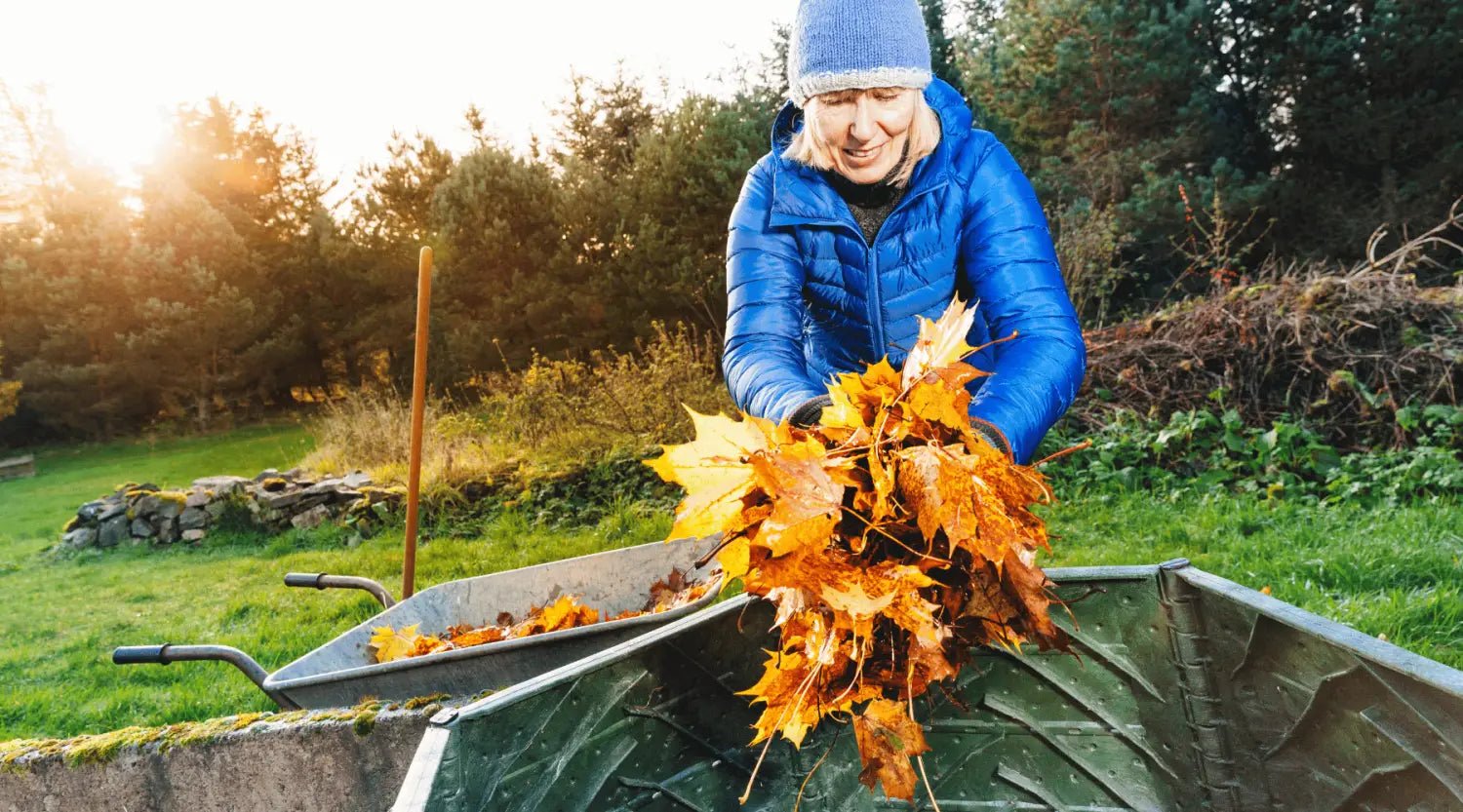 Kompostieren im Herbst: Tipps und Tricks - SHW-FIRE