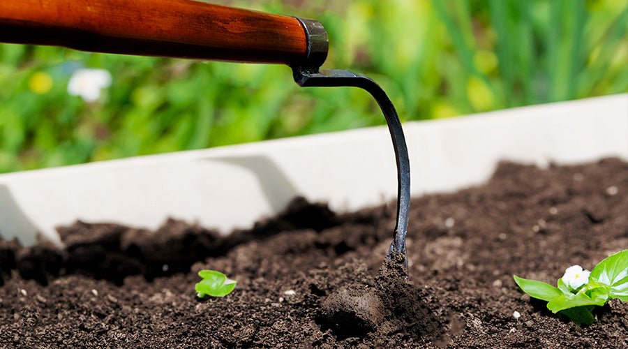 Natürlicher Pflanzenschutz: Dein Weg zu einem gesunden Garten - SHW-FIRE
