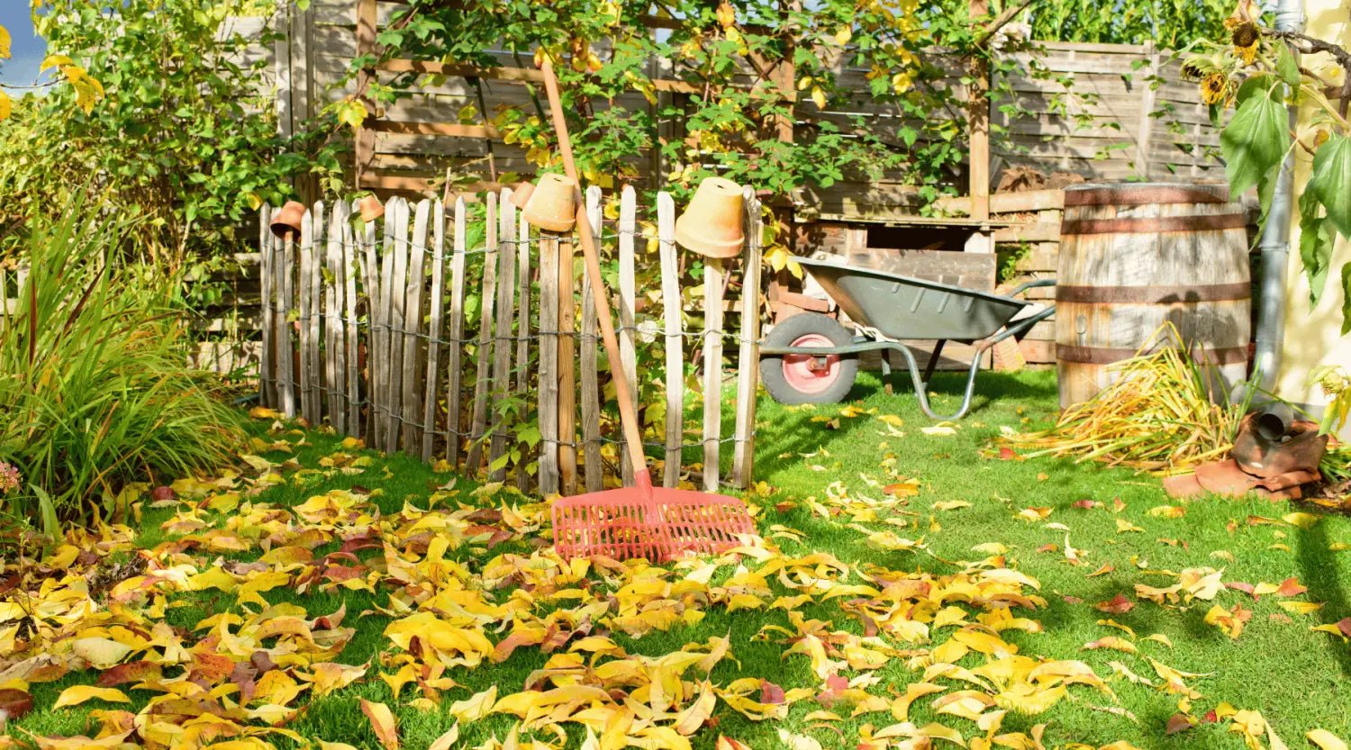 September im Garten: Die Top 5 Prioritäten für den Herbstanfang - SHW-FIRE