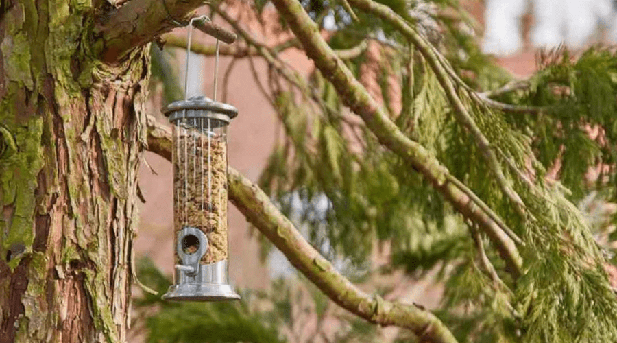 Vogelfütterung im Winter: Die richtigen Futterstellen bauen – So gelingt es mit SHW-Produkten - SHW-FIRE