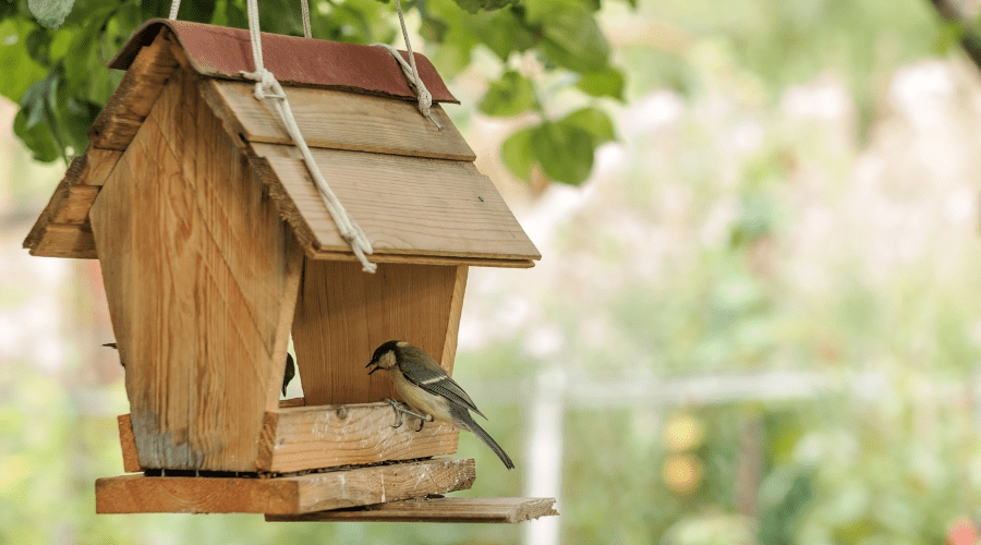 Vogelhäuser und Vogelfuttersäulen im Garten: Tipps zur Auswahl und Pflege - SHW-FIRE