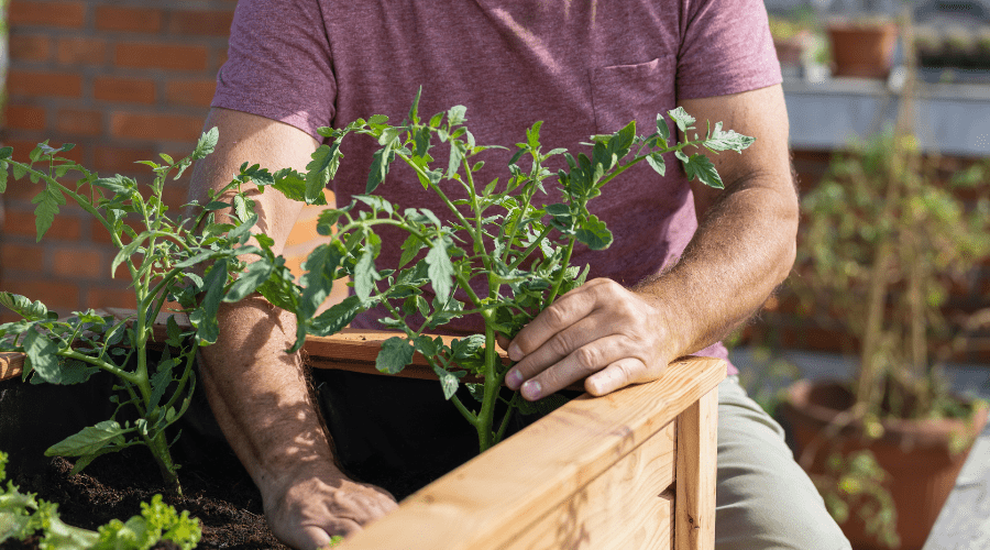 Welche Gartenhelfer zum Thema Hochbeet: Praktische Tipps für erfolgreiche Bepflanzung - SHW-FIRE
