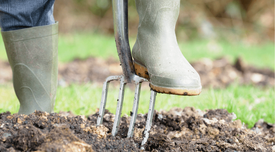 Wintervorbereitung für den Garten: So schützt du deine Pflanzen vor Schnee und Frost mit SHW-Produkten - SHW-FIRE