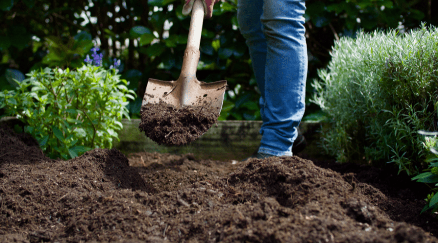 Wintervorbereitung im Garten: Spaten richtig einsetzen und Pflanzen schützen - SHW-FIRE