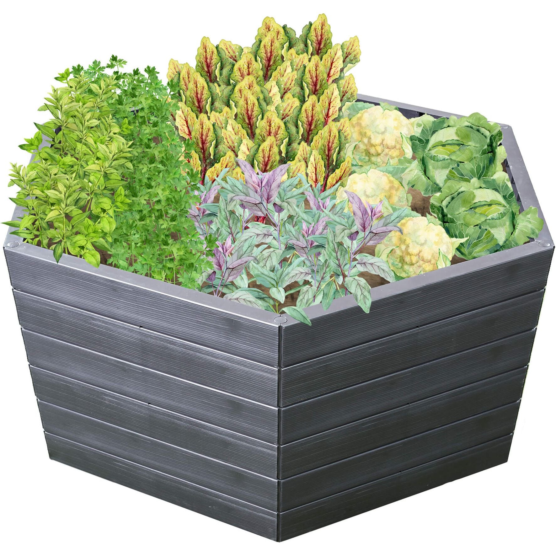 GARANTIA Hochbeet XL 75 mit Wassersparsystem