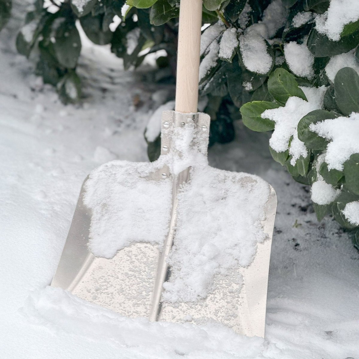 SHW Hallenser Alu - Randschaufel mit Stahlschutzkante und Hartholzstiel - SHW - FIRE