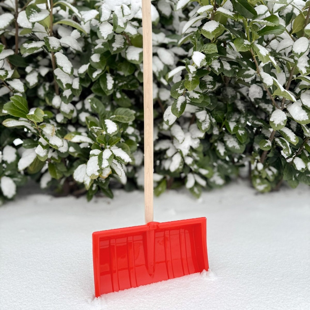 SHW Kinderschneeschieber Kunststoff mit D - Griff - SHW - FIRE