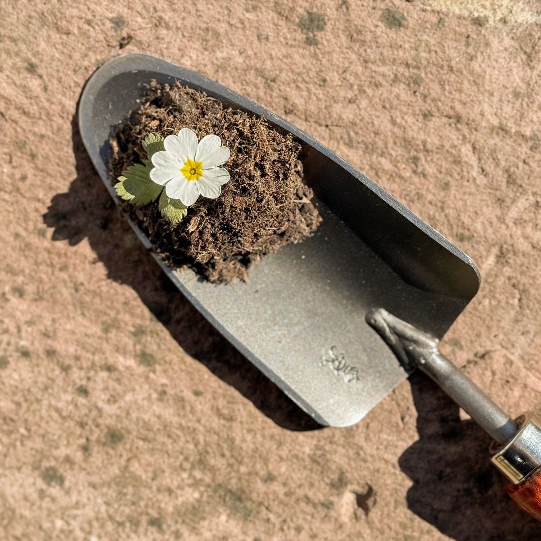SHW Handschaufel breit mit Eschenholzgriff - SHW - FIRE
