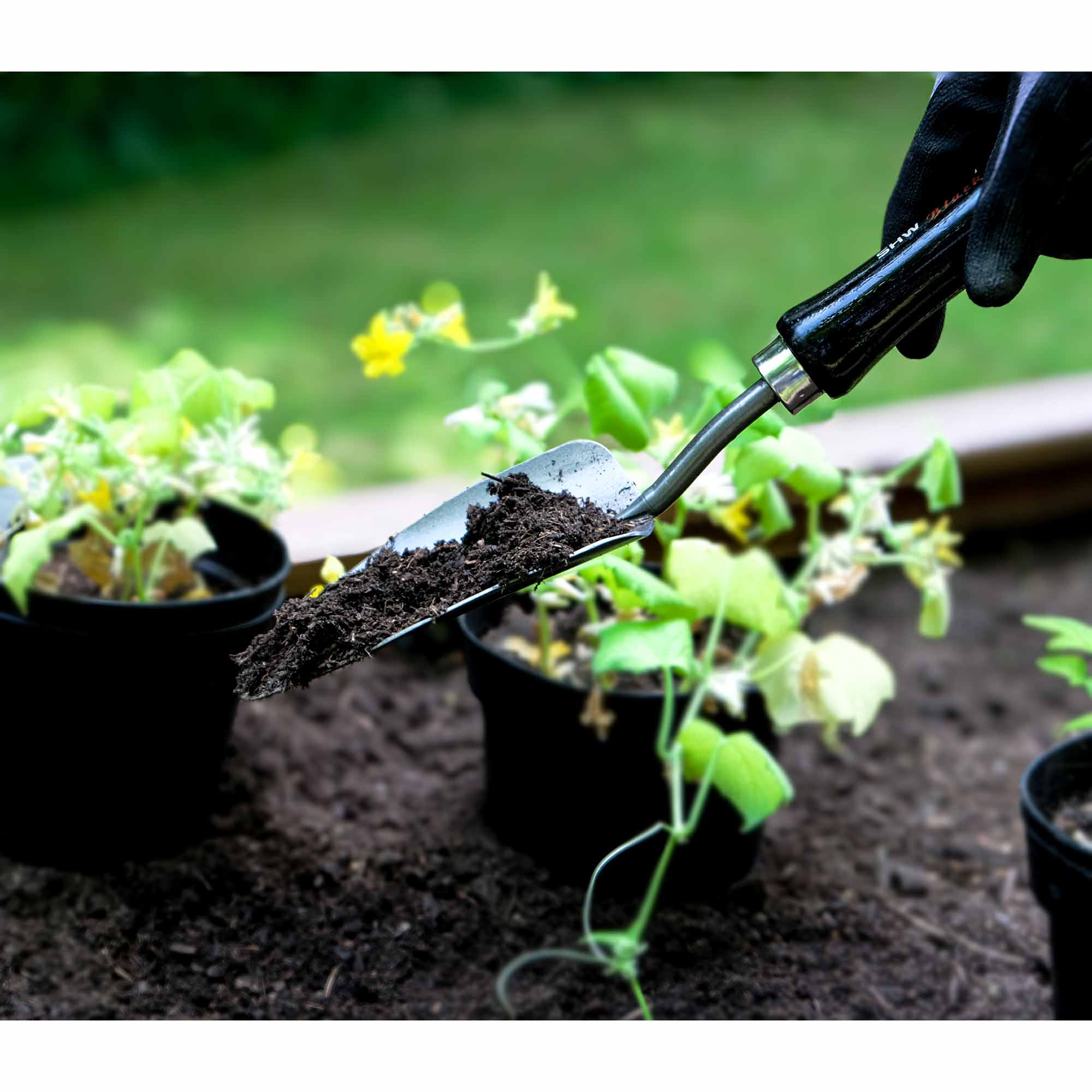 SHW Handschaufel breit mit Eschenholzgriff