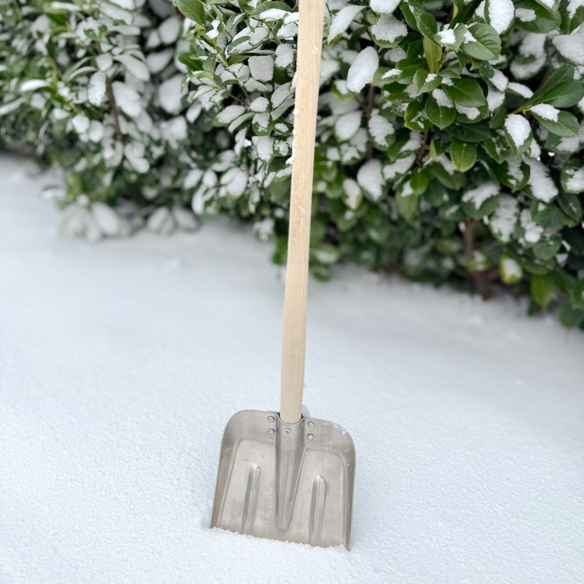 SHW Kinder Alu - Schneeschaufel, 24x20 cm - SHW - FIRE