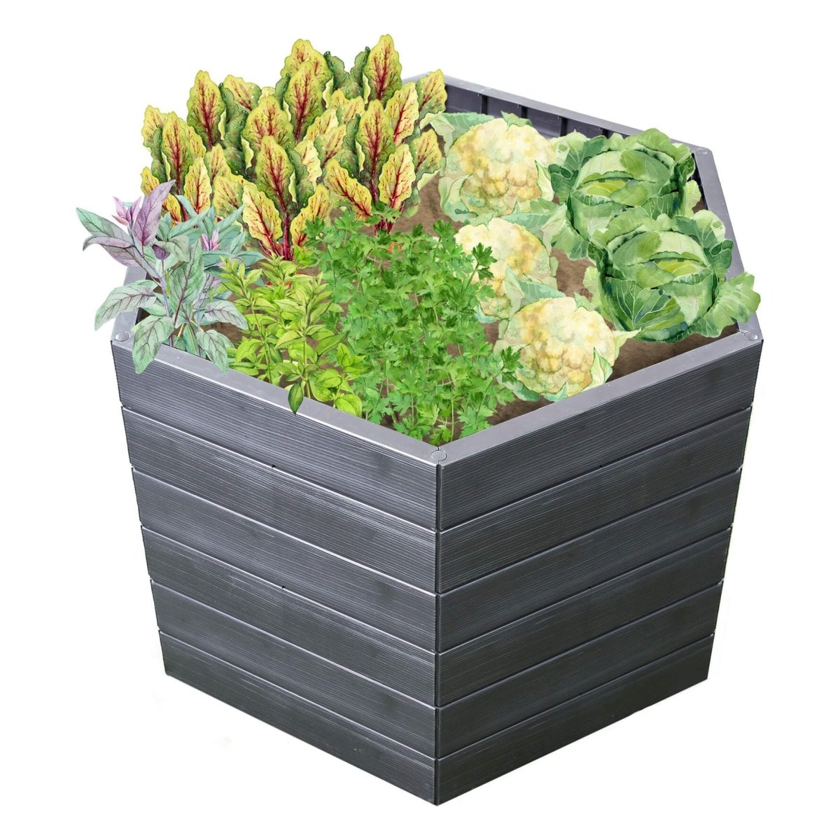 GARANTIA Hochbeet L 75 mit Wassersparsystem - SHW - FIRE