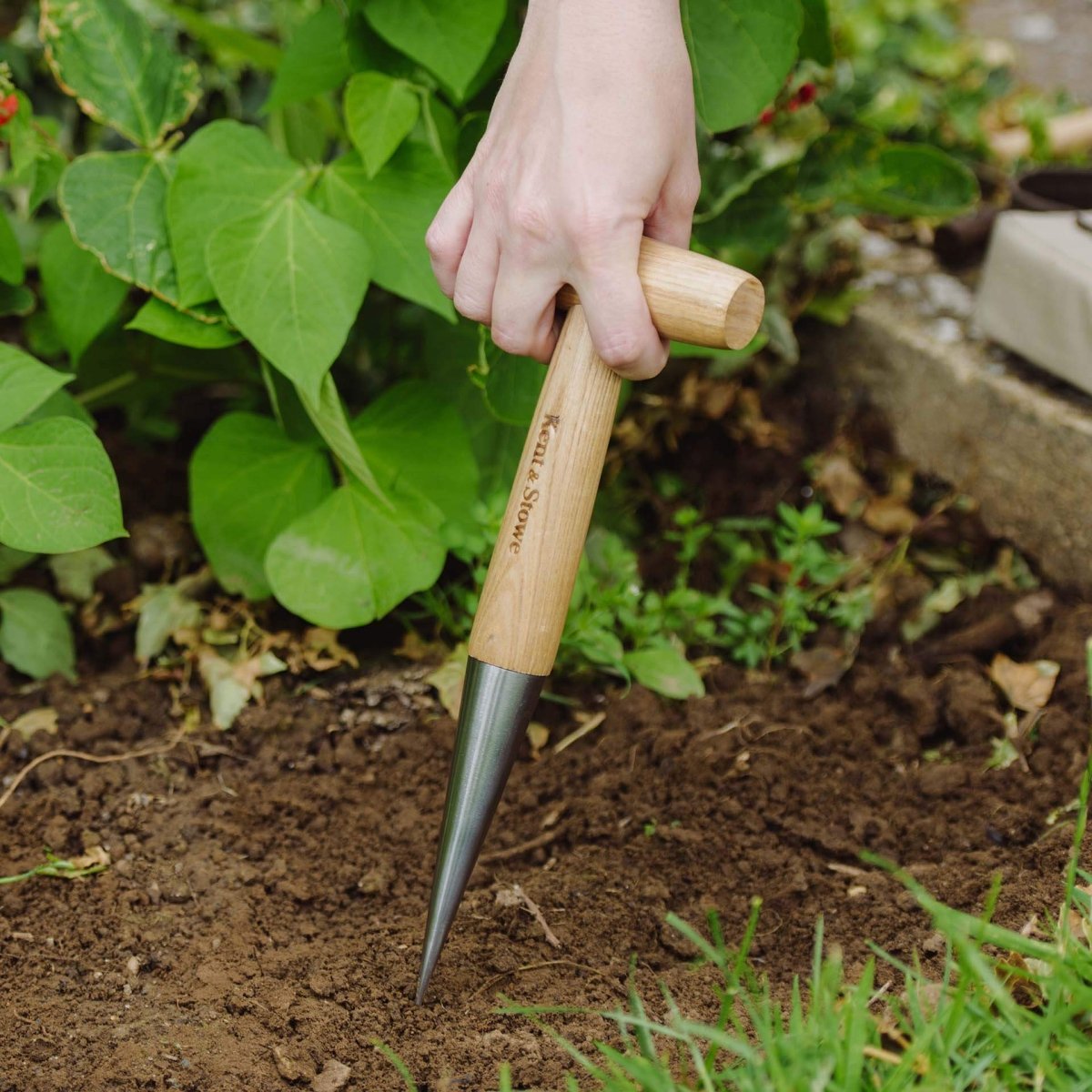 Kent & Stowe Pflanzholz - SHW - FIRE