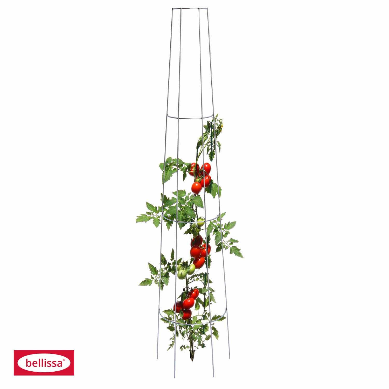 Bellissa Tomatenrankgitter, rund, H 135 cm Default Title