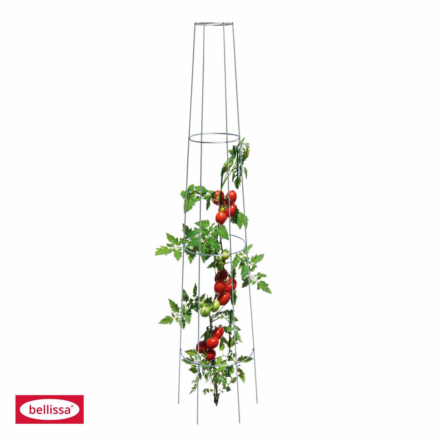 Bellissa Tomatenrankgitter, rund, H 135 cm Default Title