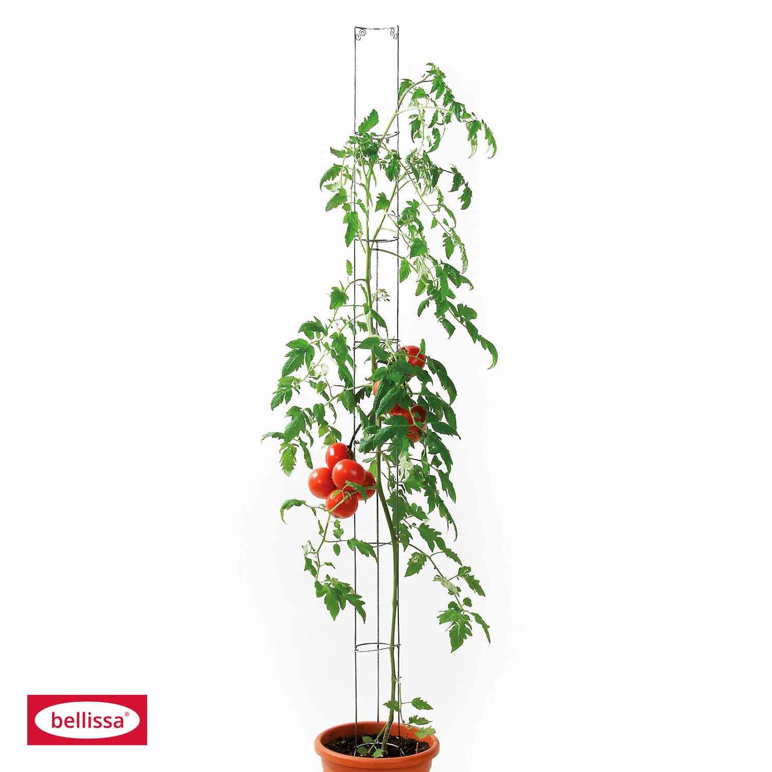 Bellissa Tomaten-/Gurkensäule, grün beschichtet H 160 cm Default Title