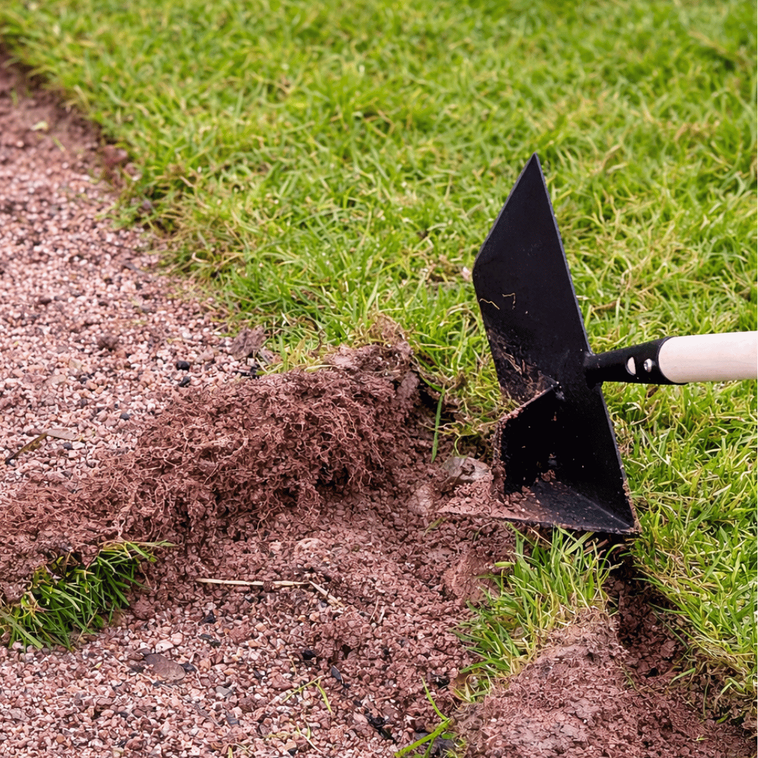 SHW Rasenkantenschneider x Ralf Dammasch