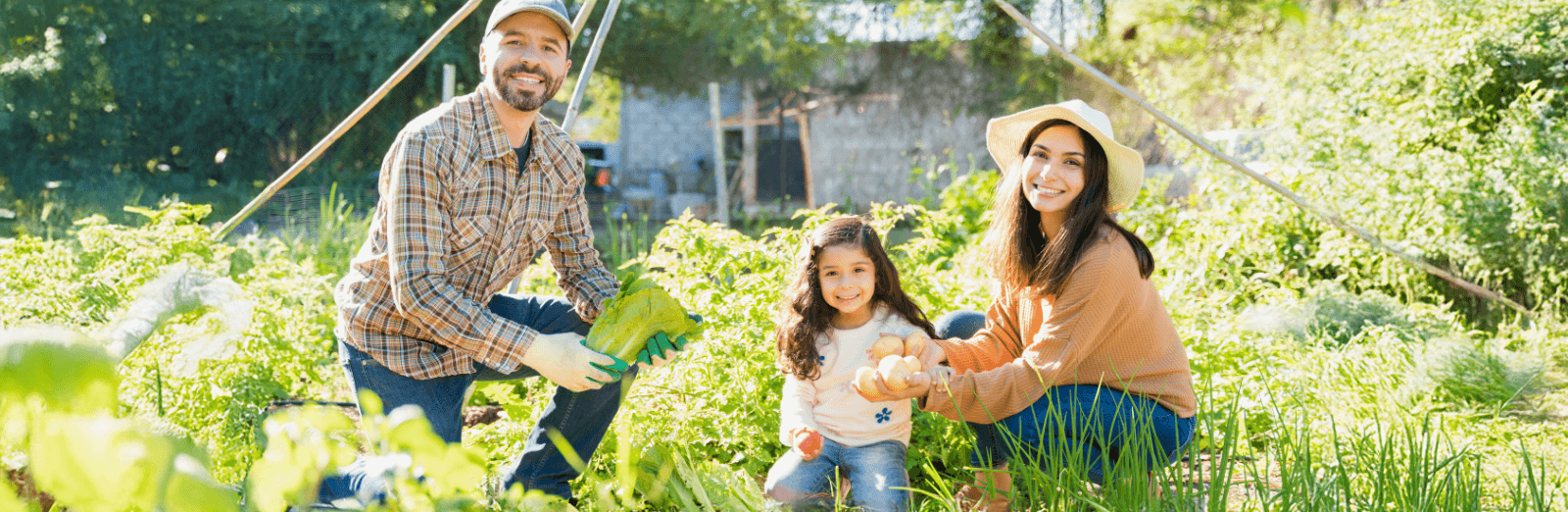 Gartenarbeit mit langlebigen Gartenwerkzeugen von SHW FIRE