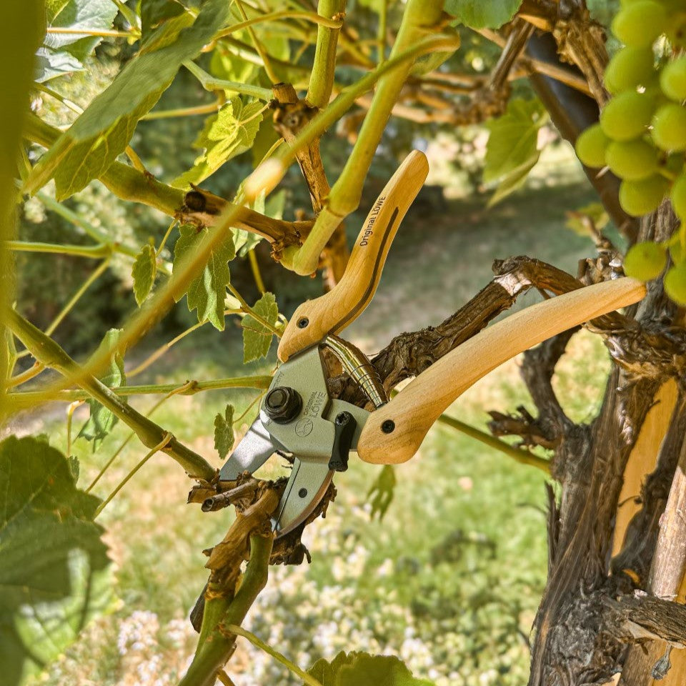 LÖWE Original 7 Natural Gartenschere mit ergonomischen Holzgriffen an einem verholzten Rebstock zwischen grünen Weinblättern und Trauben.
