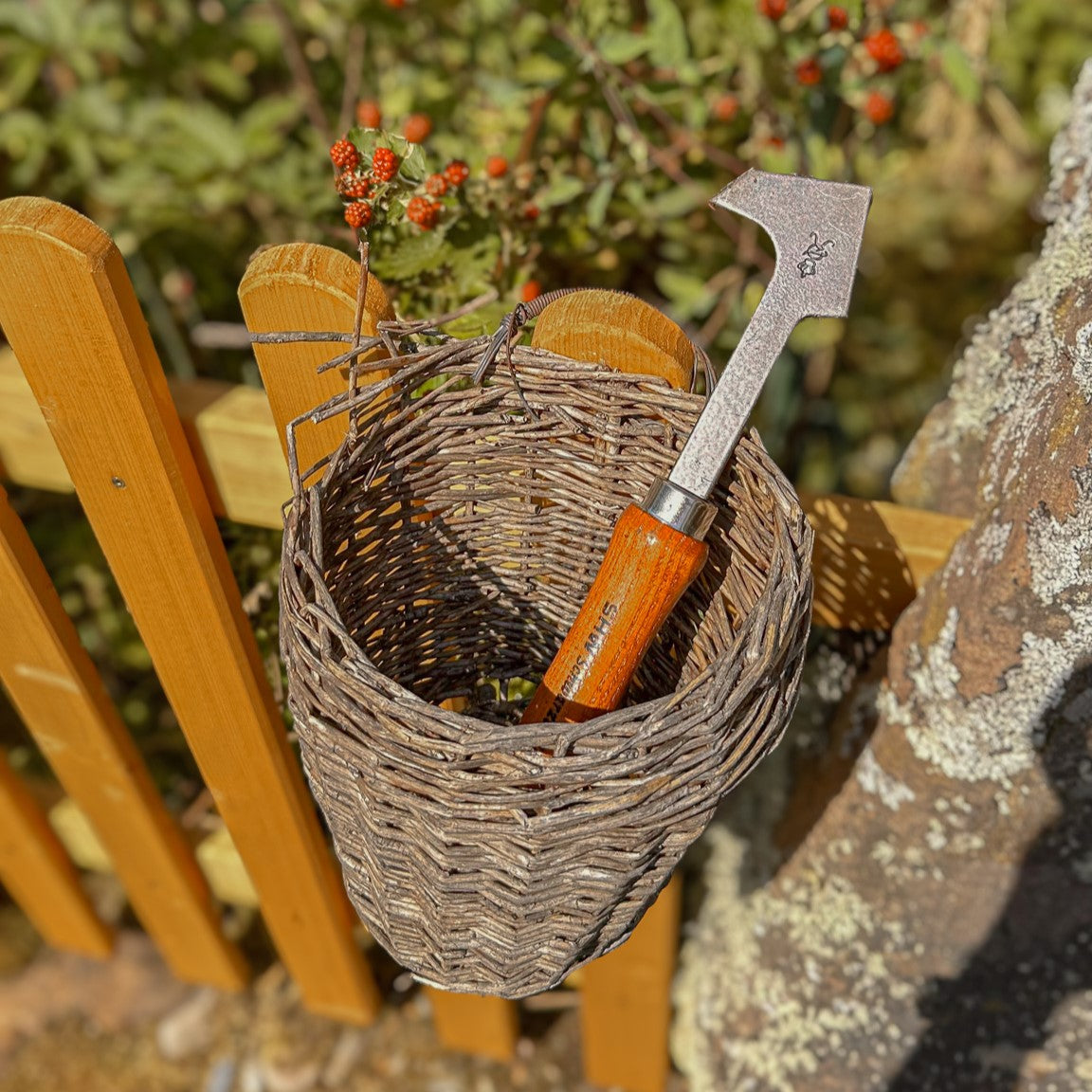 SHW Fugenkratzer mit kurzem Eschenholzgriff und abgewinkelter Stahlklinge in einem geflochtenen Gartenkorb vor Brombeersträuchern. Handliches Werkzeug zum Reinigen von Pflasterfugen.