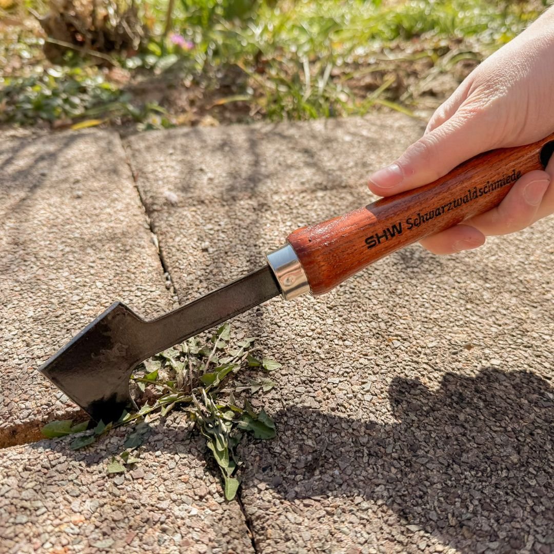 Hand entfernt mit dem SHW Fugenkratzer und seiner abgewinkelten Stahlklinge Unkraut aus einer schmalen Pflasterfuge. Mechanische Fugenreinigung auf einem gepflasterten Gartenweg.