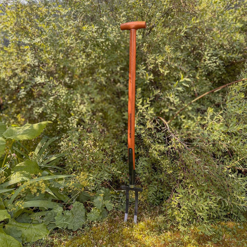 SHW Rosengabel mit zwei stabilen Stahlzinken, langem Holzstiel und T-Griff, aufrecht in einer moosbewachsenen Gartenfläche vor grünen Sträuchern. Werkzeug zum Lockern von Rosenbeeten.