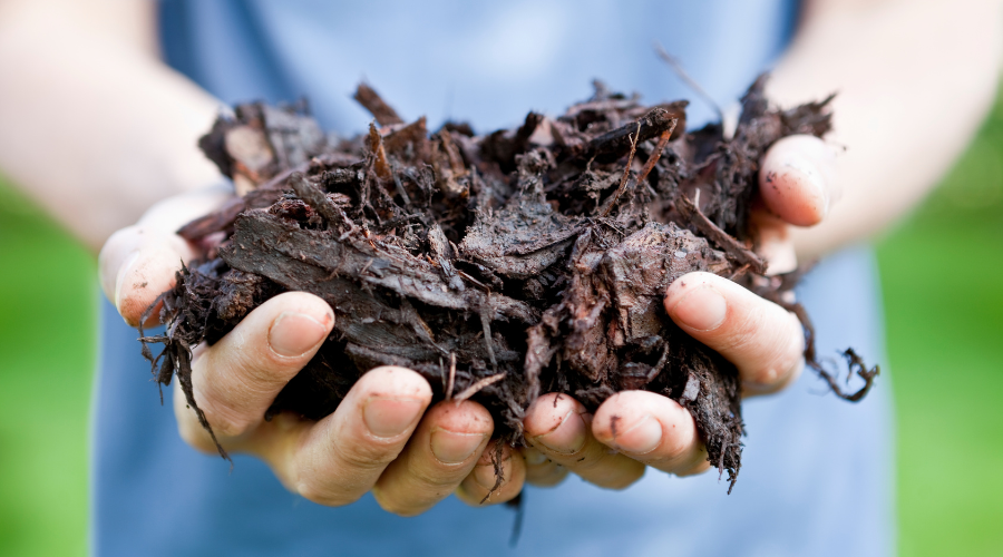 Ein Mensch der Mulch in den Händen hält