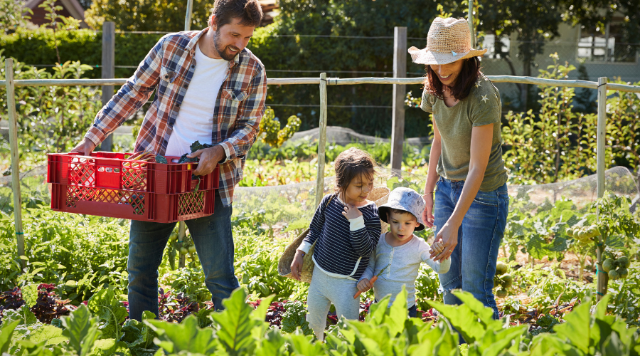 Gartenarbeit im Frühling: Tipps für einen blühenden Start in die Saison