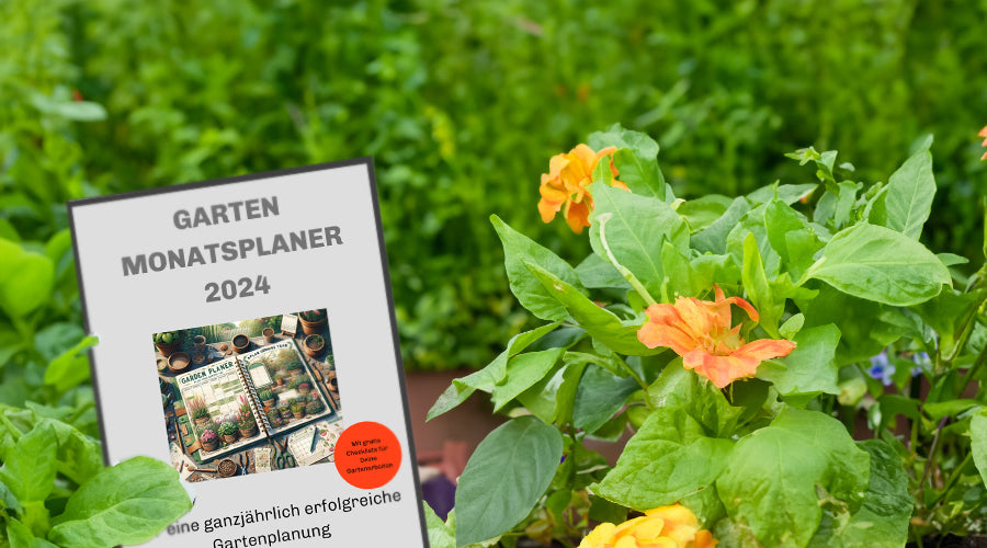 Gartenarbeit 2024: Dein ganzjähriger Guide für optimale Ergebnisse