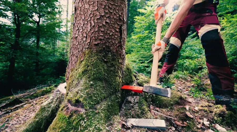 Brennholz hacken: Praktische Tipps für optimale Ergebnisse - SHW-FIRE