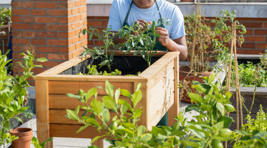 Dein selbstgebautes Hochbeet im Garten, bepflanzt mit frischem Gemüse und Kräutern – ideal für nachhaltigen Anbau auf kleinem Raum.