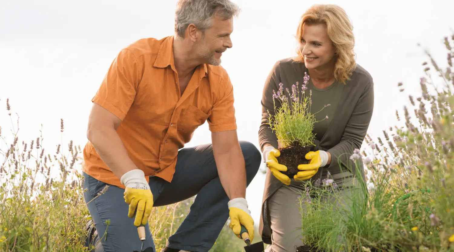 Ein Mann in einem orangefarbenen Hemd und gelben Gartenhandschuhen hält zwei Gartengeräte, während er neben seiner Frau kniet, die eine Pflanze einsetzt. Beide Partner schauen sich auf einem Feld liebevoll und verbunden an