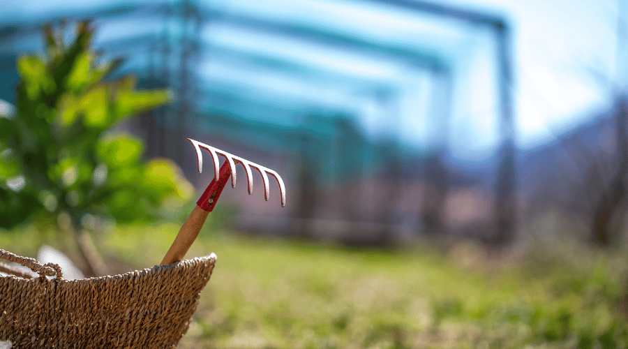 Gartengeräte für den Frühling: Essentielle Auswahl für Deinen Gartenstart - SHW-FIRE