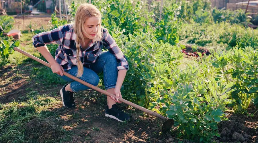 Gartenhacken im Fokus: Finde Deine ideale Hacke bei SHW-FIRE - SHW-FIRE