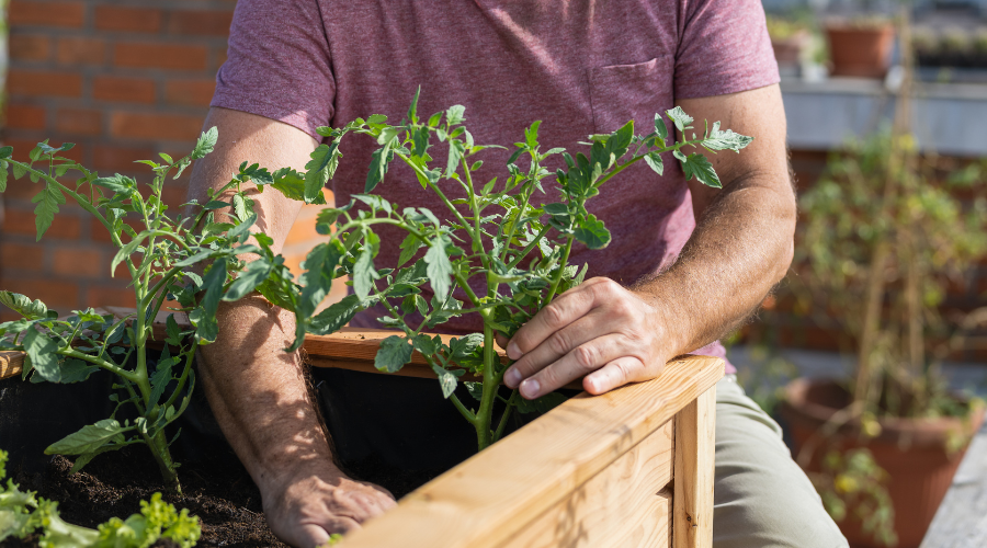 Verschiedene Gartenwerkzeuge und Hochbeet-Zubehör, die auf einem Holz-Hochbeet liegen, mit grünen Pflanzen im Hintergrund