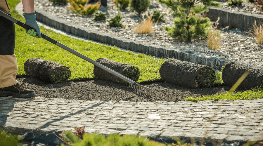 Gartenplanung für das nächste Jahr: Erfolgreiche Saison mit Planungshilfen und passenden SHW-Werkzeugen - SHW-FIRE