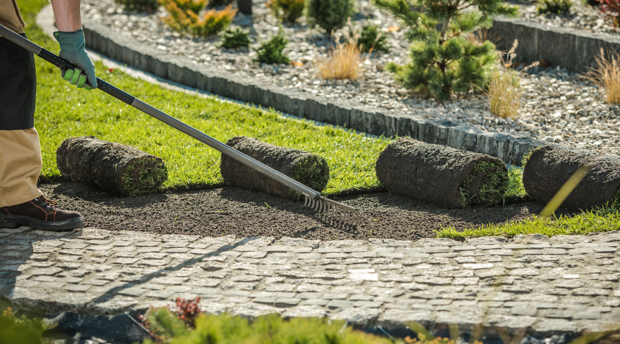 Gartenwerkzeuge von SHW zur Vorbereitung eines erfolgreichen Gartenjahres – perfekte Planung und hochwertige Ausrüstung für die nächste Saison.