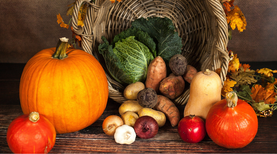 Frosttolerantes Herbstgemüse im Hochbeet mit Rosenkohl und Grünkohl, perfekt für die späte Ernte im Herbst.