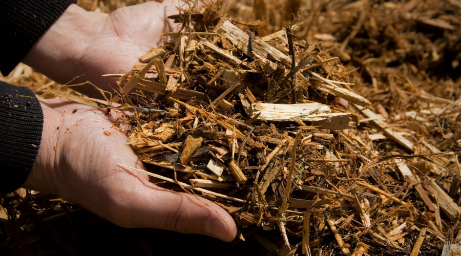 Wintermulchen im Garten: Eine schützende Mulchschicht aus Laub, Stroh und Rindenmulch für Frostschutz und gesunden Boden.